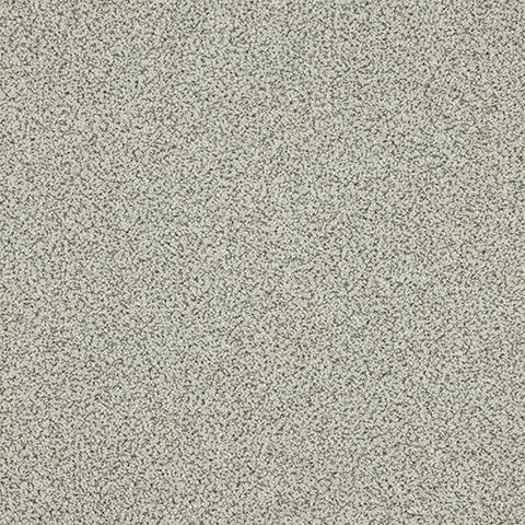 Dusty Fossil