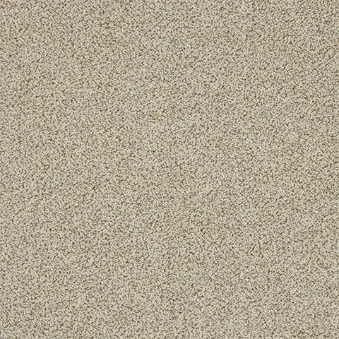 Toasted Oat colour swatch