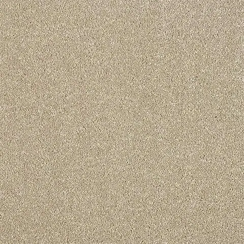 Dark Ecru colour swatch