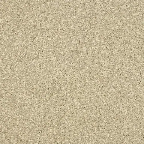 Timeless colour swatch