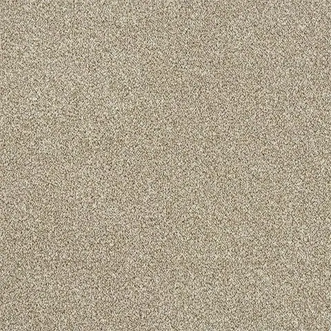 Driftwood colour swatch