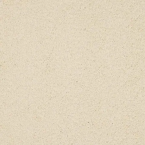 Bone colour swatch