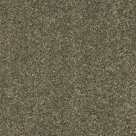 Dusty Fern colour swatch