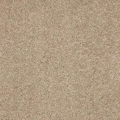 Mouseback