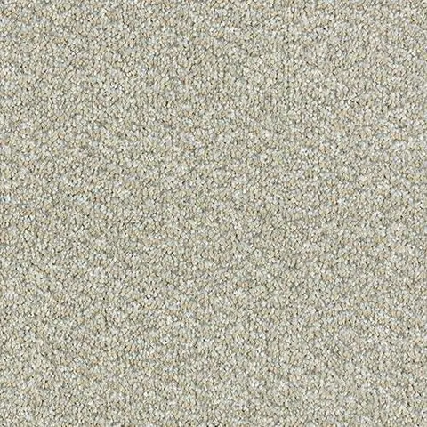 Arctic Fox colour swatch
