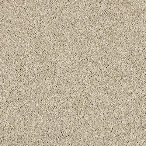 Dust colour swatch