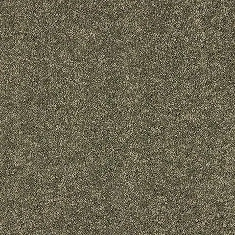 Dusty Fern colour swatch