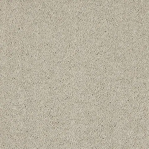 Mist