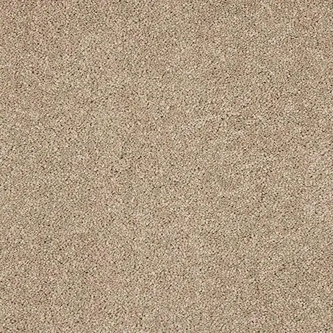 Mouseback