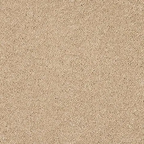 Soft Buff