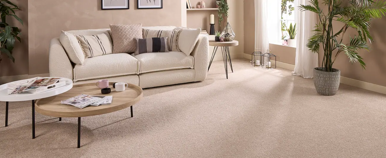 Velvet Dreams carpet range