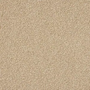 Hazelnut colour swatch