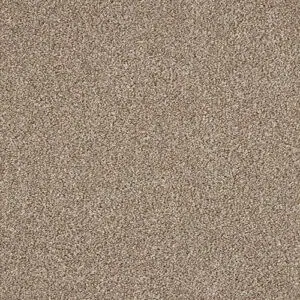 Nutmeg colour swatch