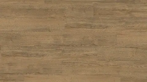Brown Elv