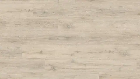 Chalky Oak