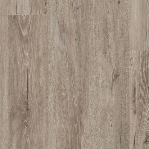 Dutch Oak