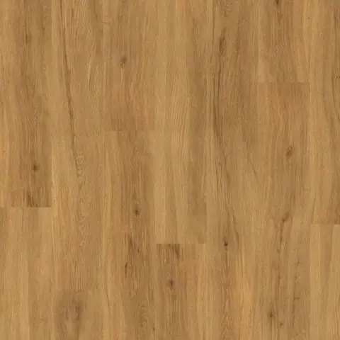 Schoolhouse Oak