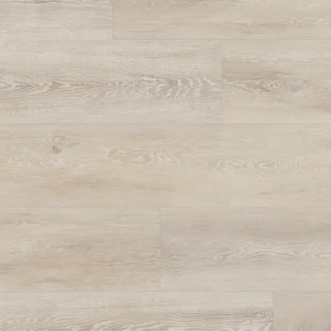 Palmaria