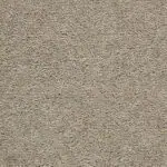 Sahara