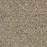 Warm Beige