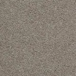 Oyster colour swatch