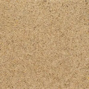 Cornmeal colour swatch