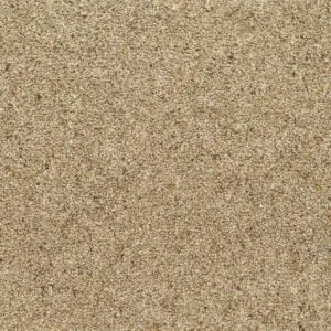 Grain colour swatch
