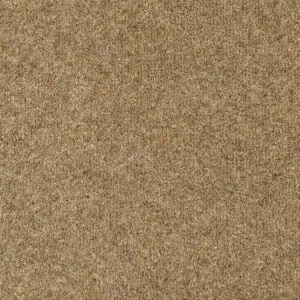 Winter colour swatch