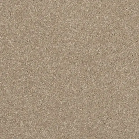 Graceful colour swatch