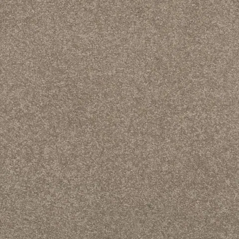 Stylish colour swatch