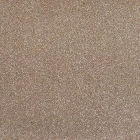 Morel colour swatch