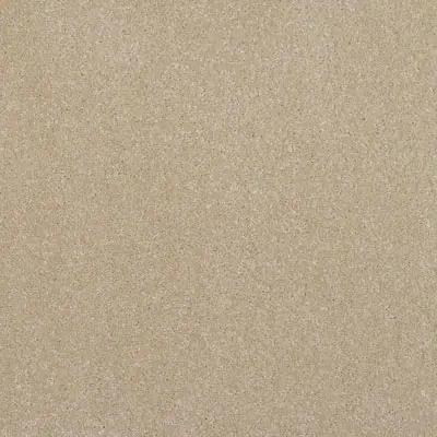 Oyster colour swatch