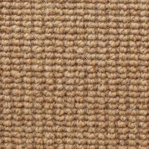 Wild Ginger Classic colour swatch