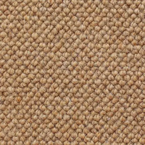 Wild Ginger Style colour swatch